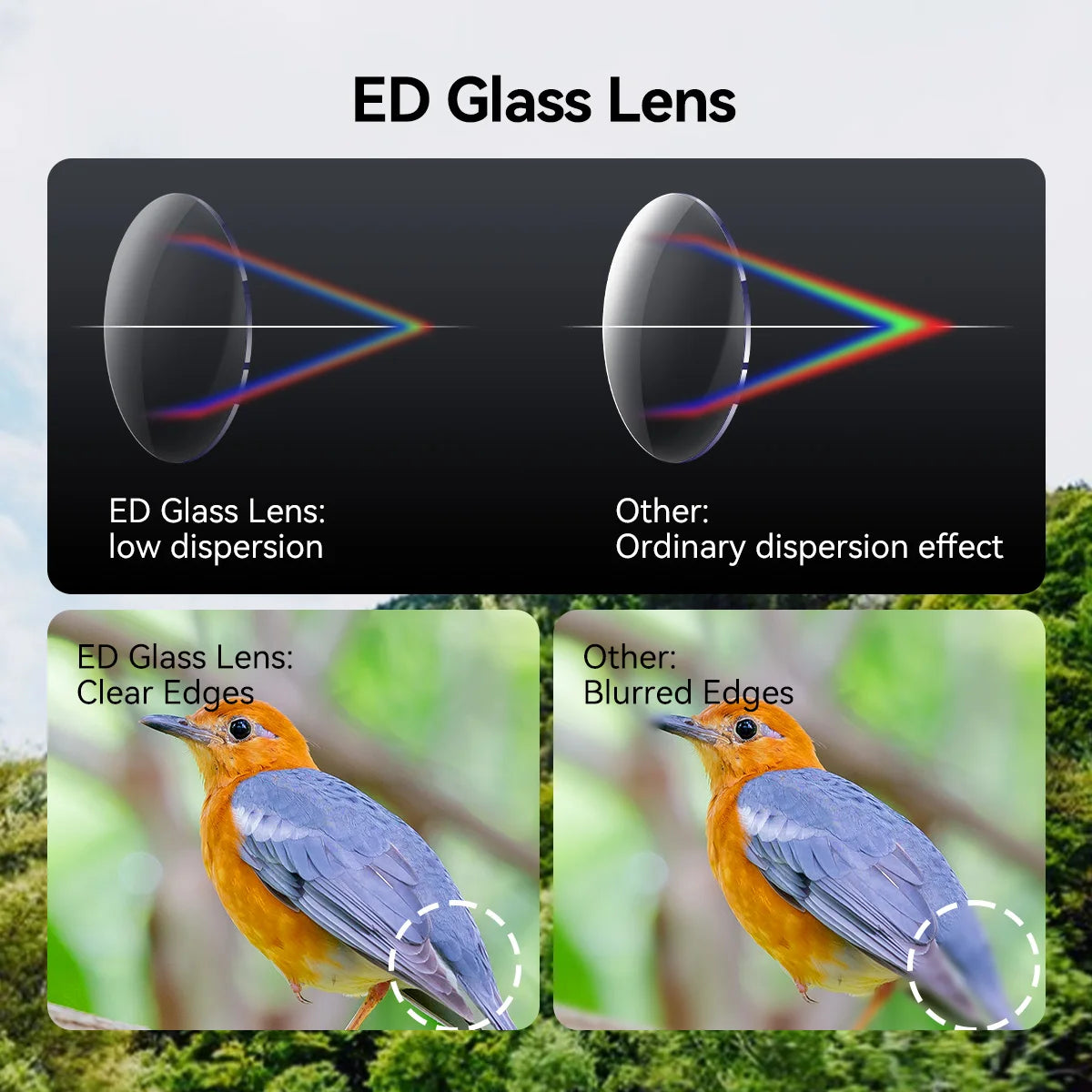 Fernglas